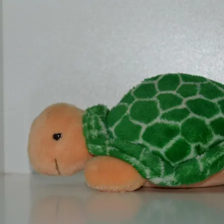 Casa Tartaruga Sant'Antìoco