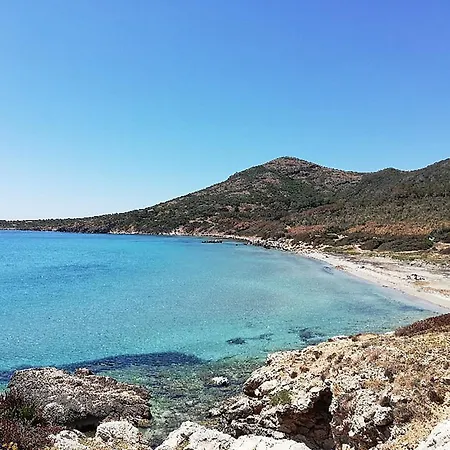 Casa Tartaruga *