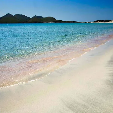 Апартаменты Casa Tartaruga