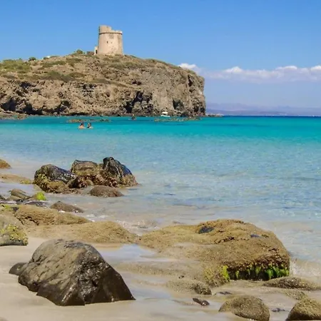 Апартаменты Casa Tartaruga *